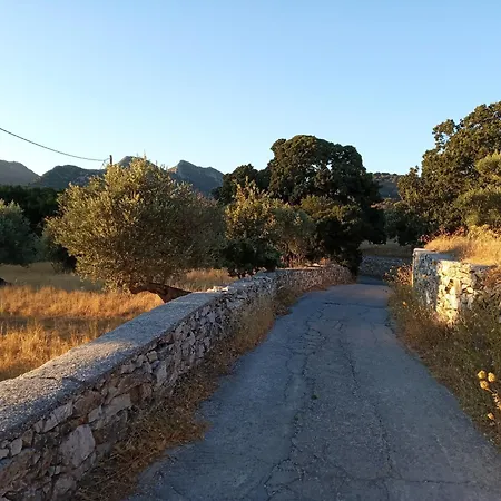 Lux Of Naxos Tatil Evi