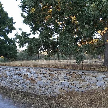 Lux Of Naxos Tatil Evi Khalkíon